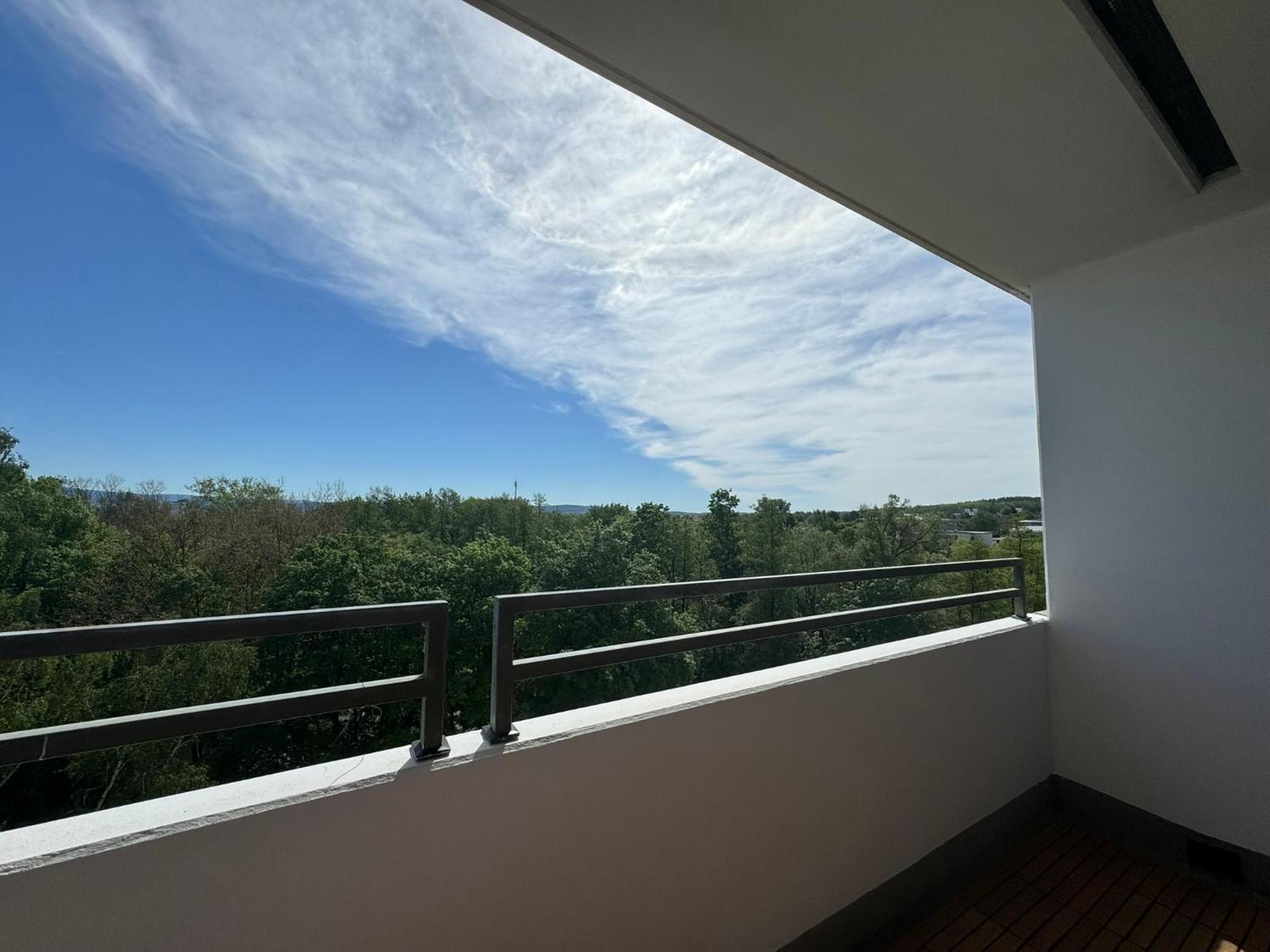 1 Zimmer Wohnung Mit Balkon Und Kueche Байройт Экстерьер фото